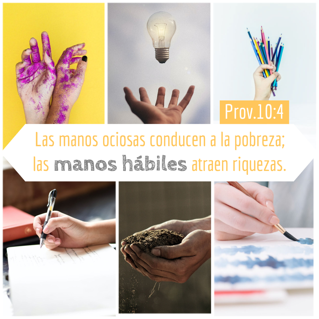 Insta Prov.10_4