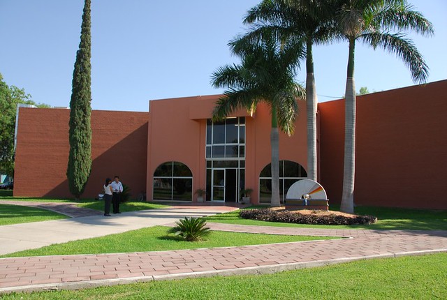 Biblio UM