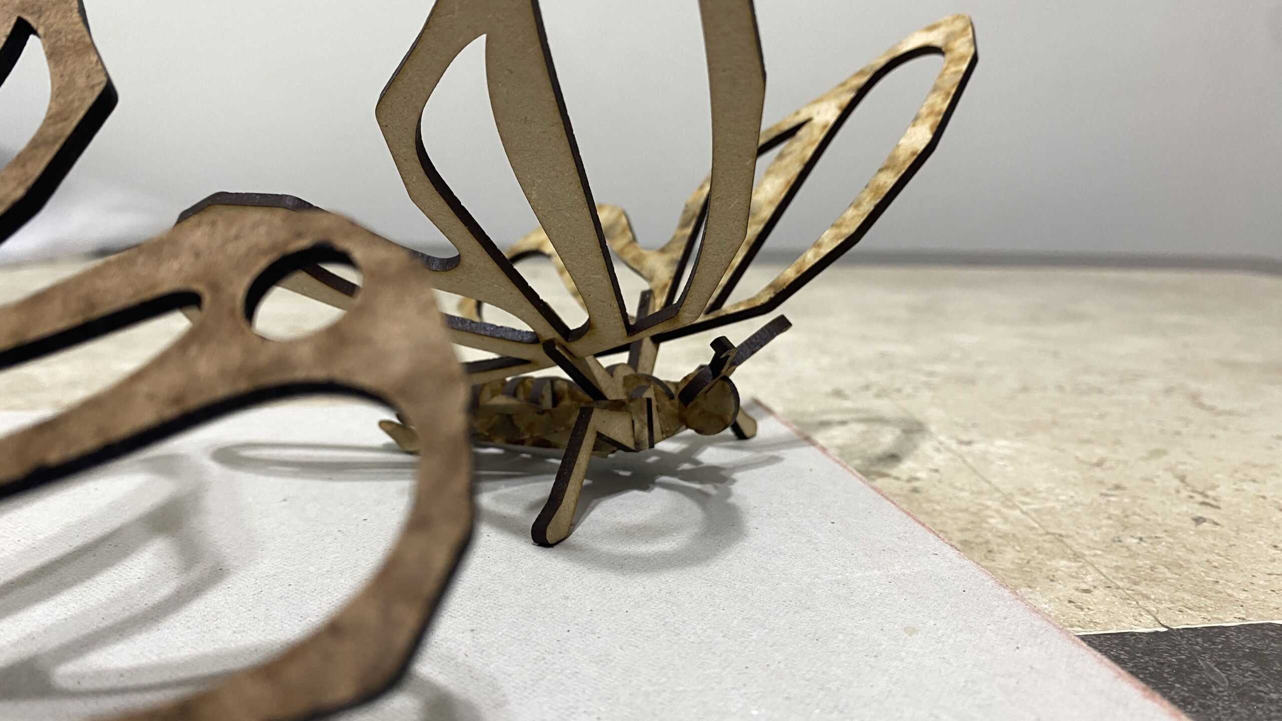 mariposa