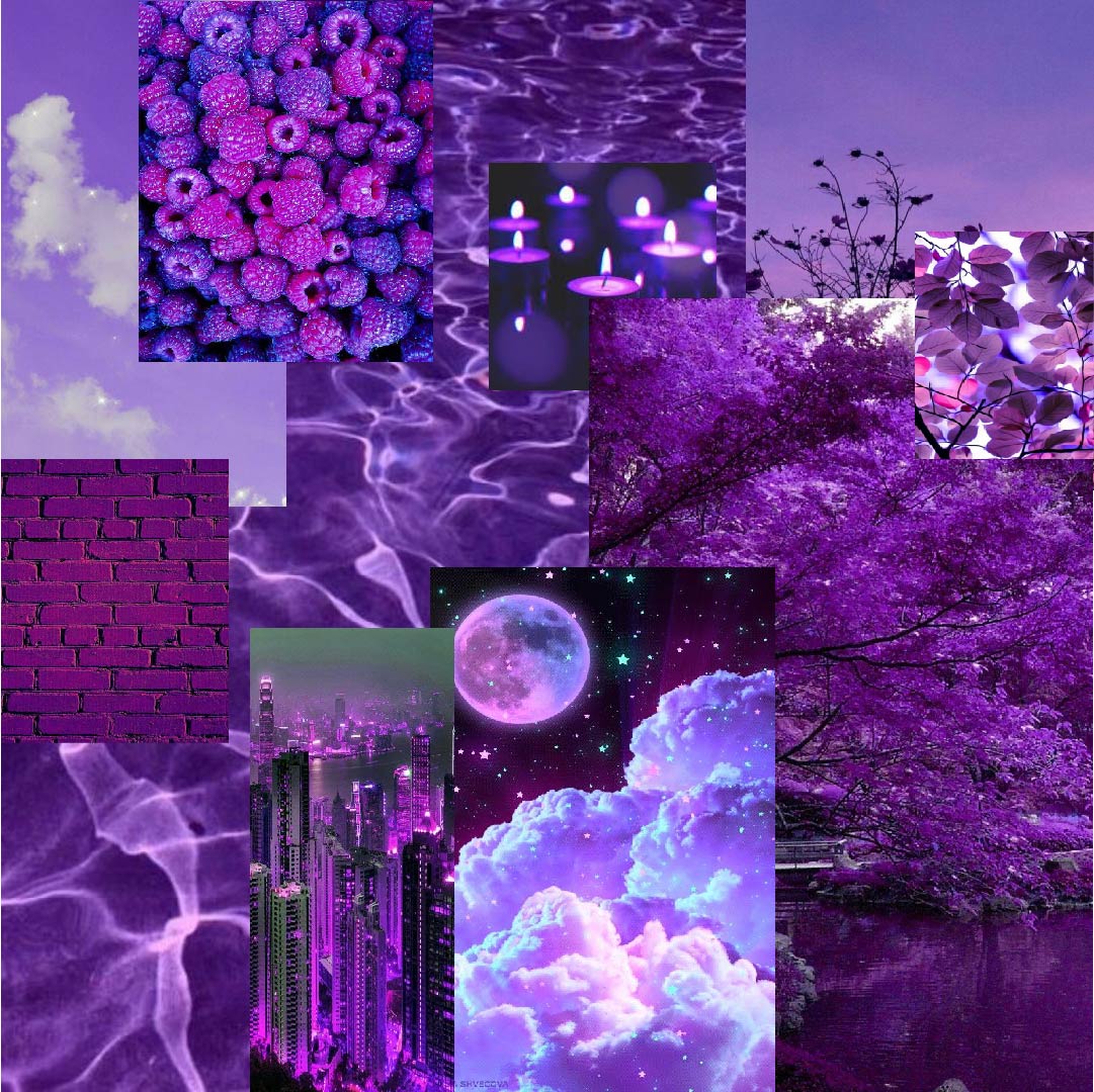 Morado-03