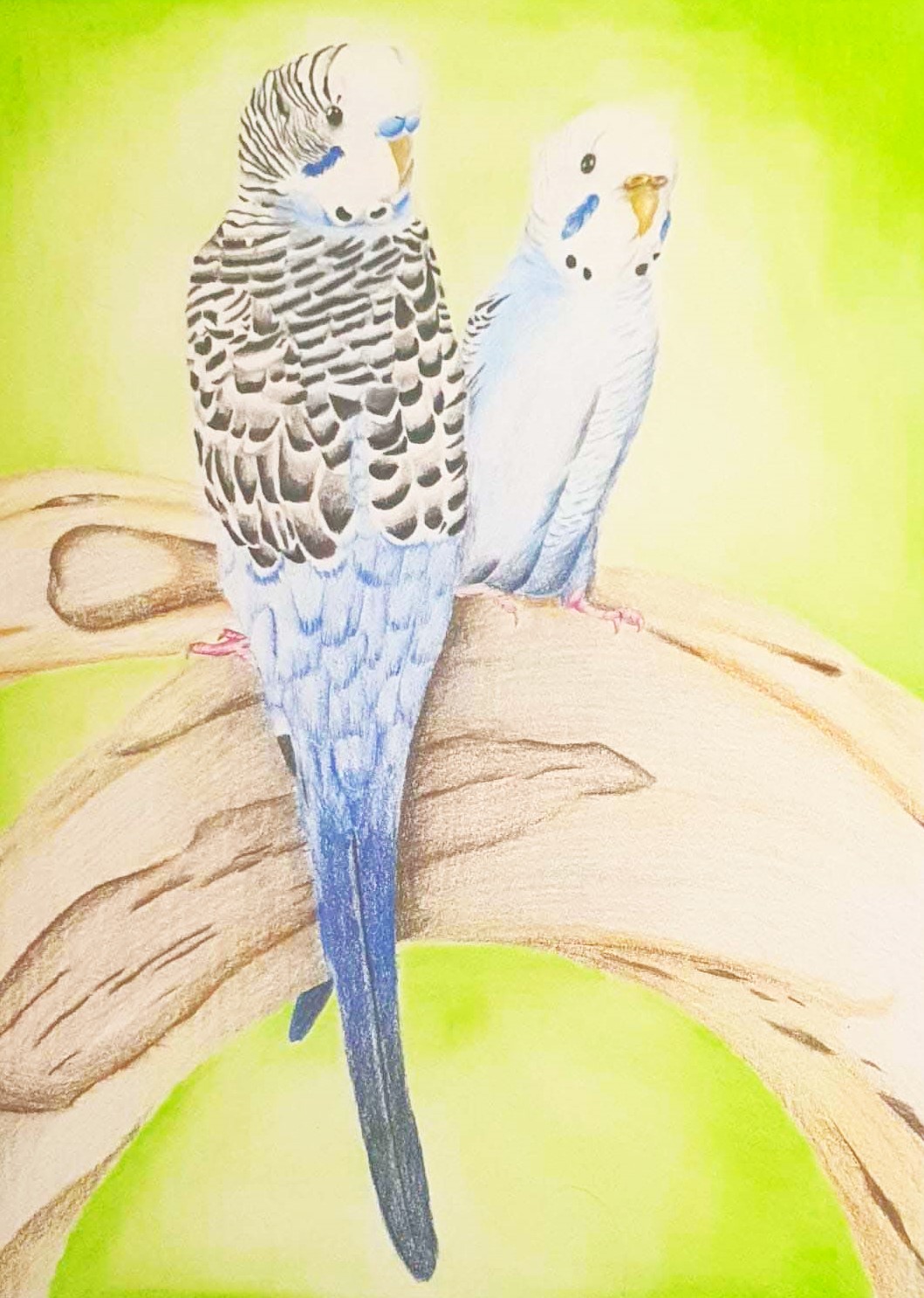Naturaleza