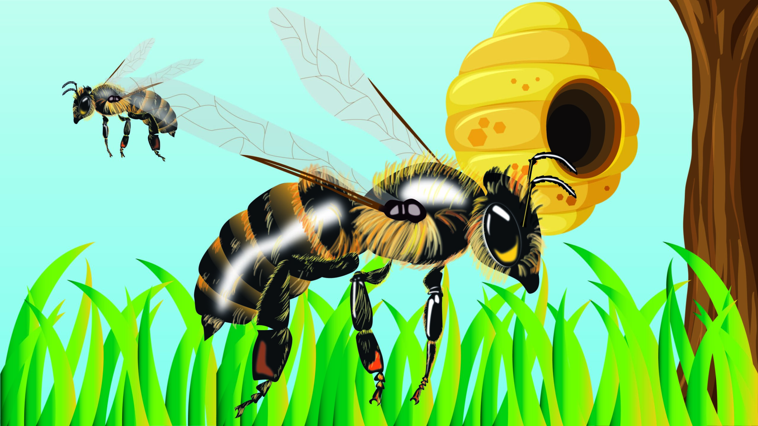abeja 2_Mesa de trabajo 1 - copia