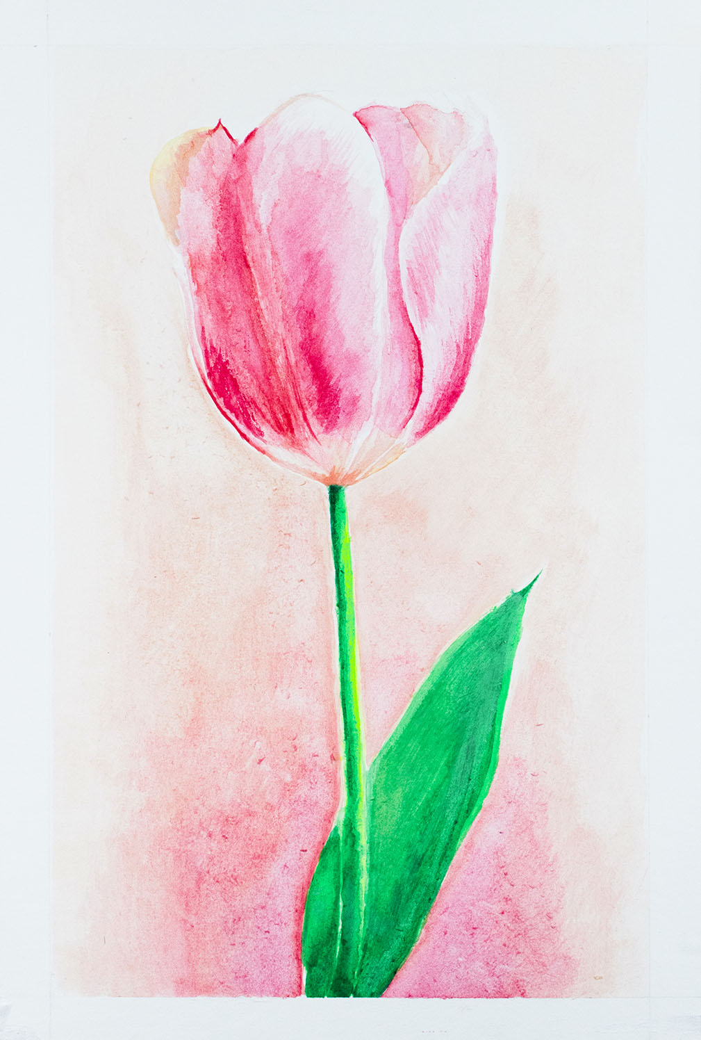 ILUSTRACIÓN flor