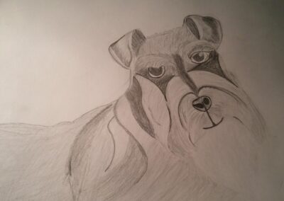 Dibujar